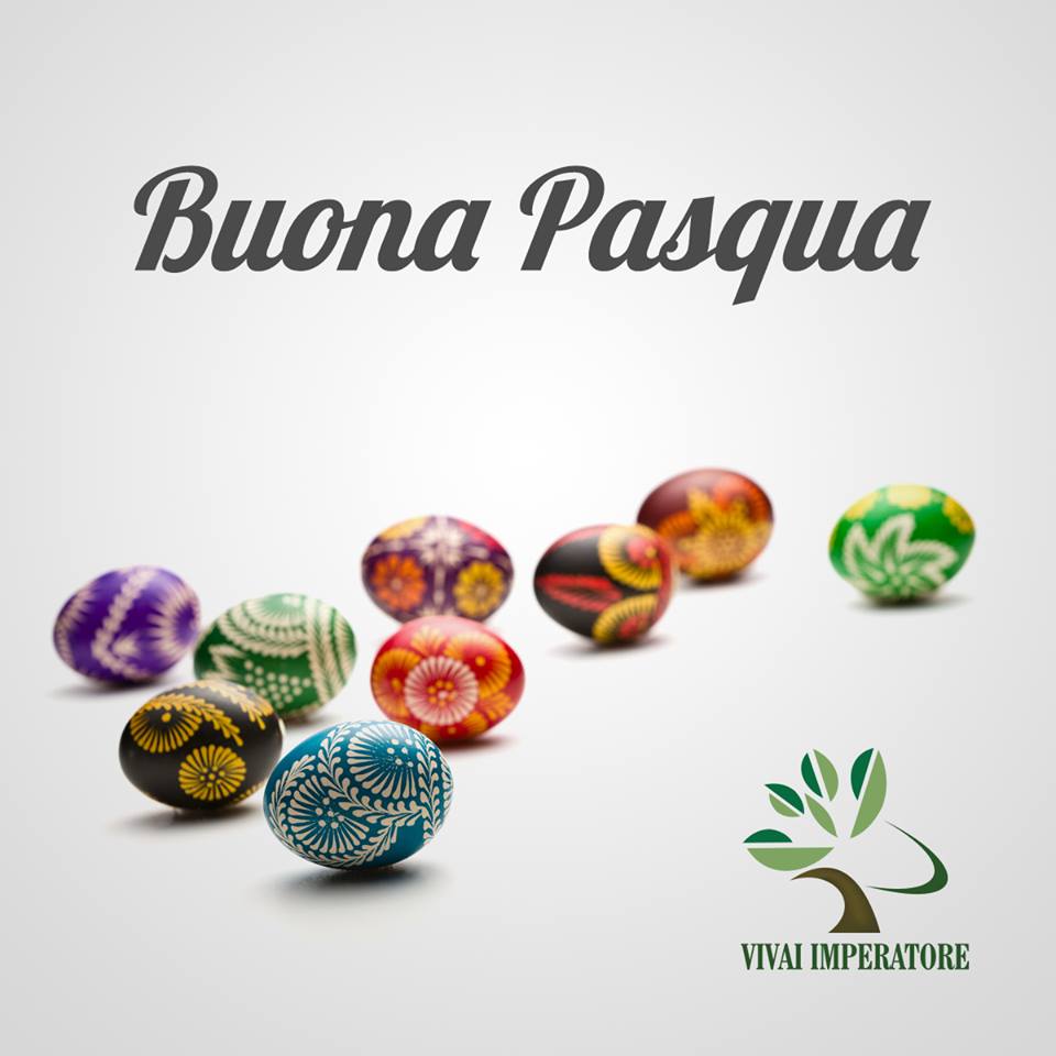 PASQUA